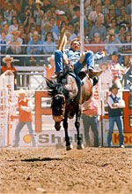 1982