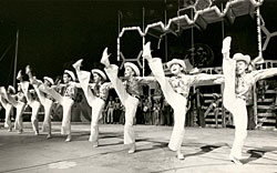 1968